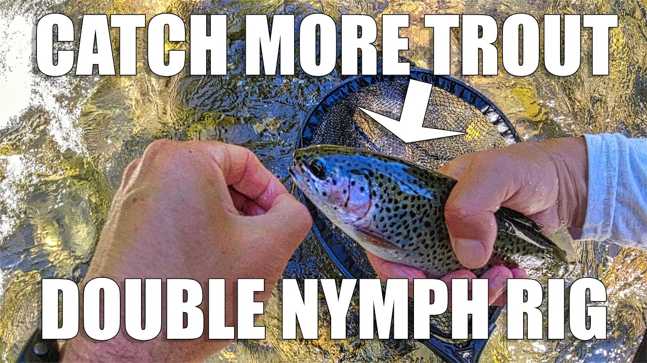 Catch More Trout With The Double Nymph Rig 