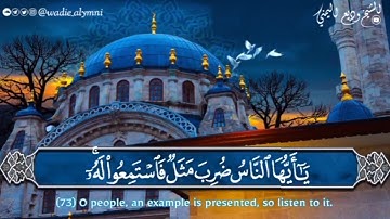 { يا أيها الناس ضرب مثل فاستمعوا له } || تلاوة بديعة من سورة الحج - الشيخ وديع اليمني