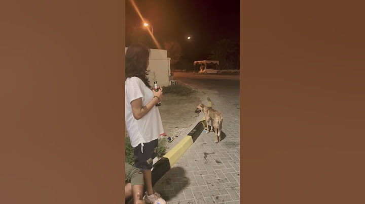 I’ve never seen such a friendly stray dog 🐶  #dog #youtube #dogs #malayalam #comedycouple