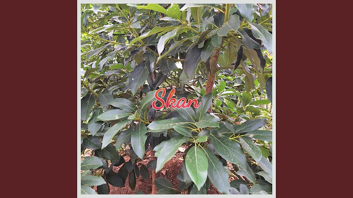 Together We Are Strong