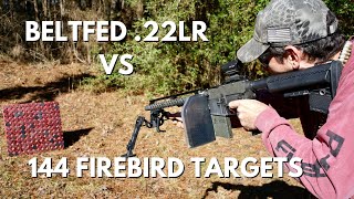 Full Auto Beltfed 22LR VS 144 Firebird Detonating Targets!