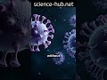 Molecule That Hunts Cancer Cells!