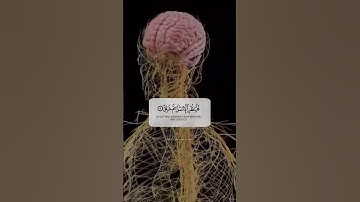 #﷽ٍ♕#سورة الطارق 💎#القارئ الشيخ محمود كركوكي🎧🎤