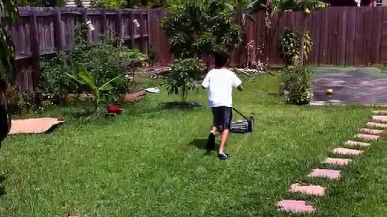 Our new Great States old-fashioned reel push lawn mower