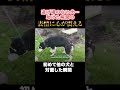 逃げ場のない犬…助けた瞬間の表情に心が震える