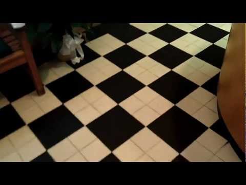 Cleaning a Ceramic Tile Floor Part 2