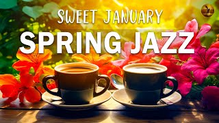 Spring Jazz ☕ Jazz and Bossa Nova Sweet January to relax, study and work