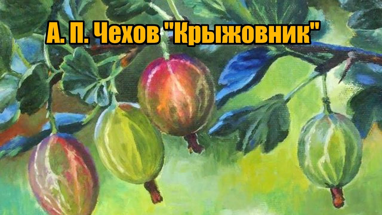 Крыжовник цифра 2. Крыжовник Чехова картина. Крыжовник Прима.