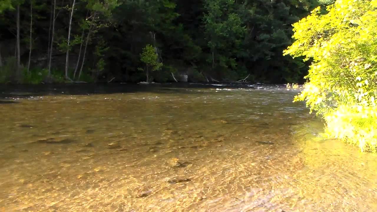 Potomac River Excellent Water Quality Below Jennings Randolph Dam