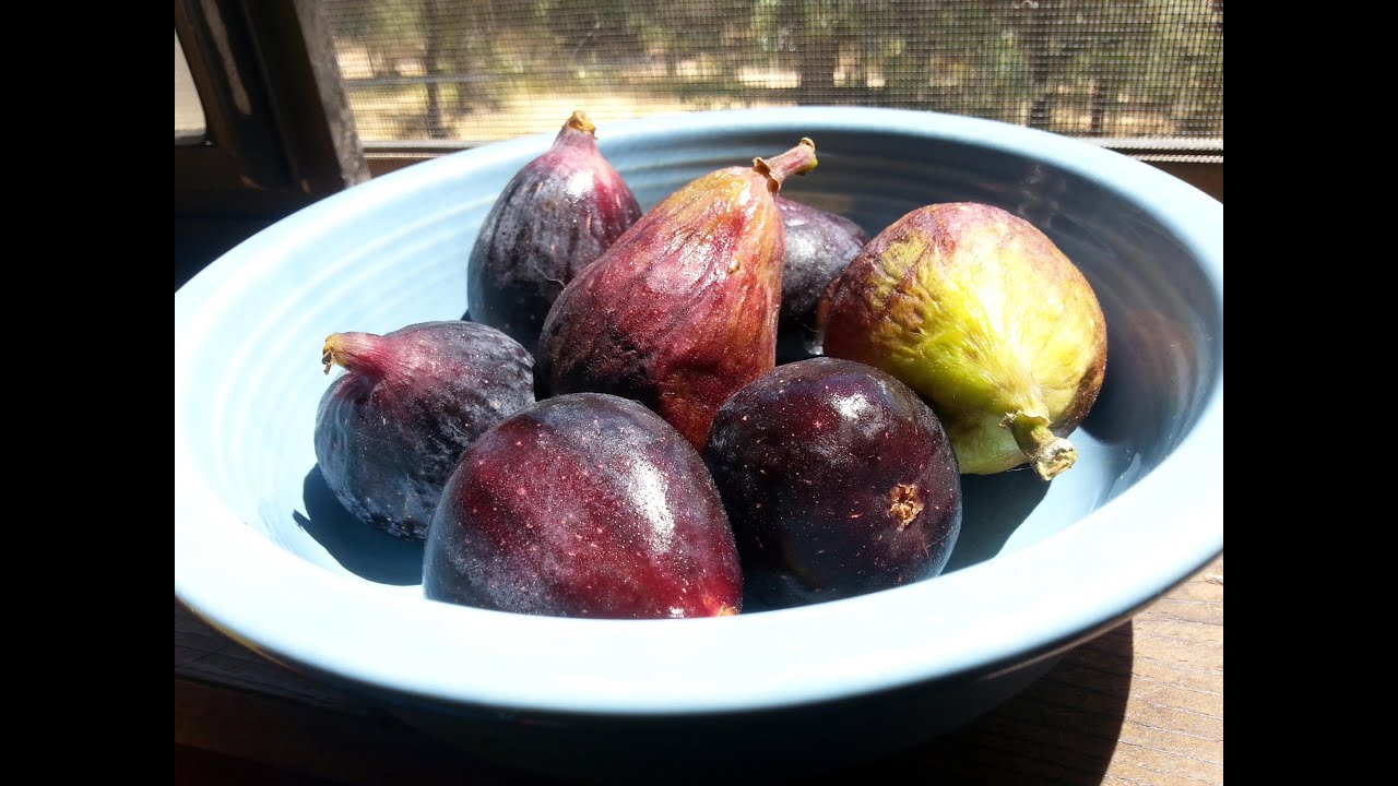 Vegan Fig Salad Recipe - YouTube