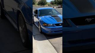Awesome muscle cars and antique decor