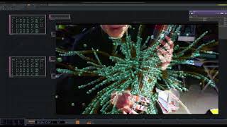 Divided Pickup - Max8 - (OSC) - TouchDesigner Experiment2