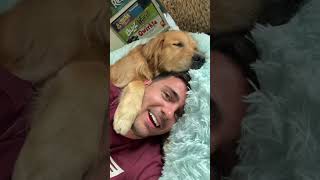 1 year of smiles in 45 seconds #goldenretriever #dog