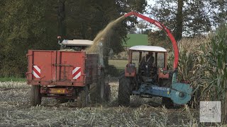 🌽Ensilage à l'ancienne !😍 Mengele 1 rang 🎥