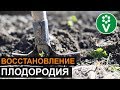 НИЧЕГО НЕ РАСТЕТ?! Почвоутомление: что это и как его избежать