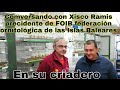 Comversando con Xisco Ramis precidente de FOIB federación ornitológica de las Islas Baleares,