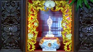Live || Tuesday , January 25, 2022 | 6:00 pm - The Celebration of the Holy Mass