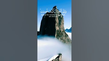 القارئ عبد الرحمن مسعد (أفلا ينظرون إلى الإبل كيف خلقت )