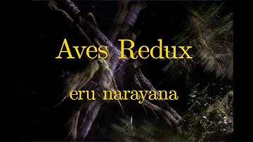Aves Redux
