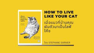 สรุปหนังสือ เมื่อแมวที่บ้านคุณผันตัวมาเป็นไลฟ์โค้ช (How to Live Like Your Cat)