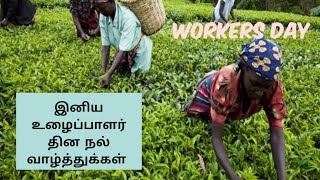 உழைப்பாளர் தினம் whatsapp status 2019 // உழைப்பாளர் தின நல் வாழ்த்துக்கள் // tamil whatsapp status