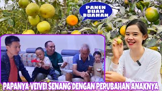 PAPANYA VEIVEI BAHAGIA MELIHAT ANAKNYA YG SEKARANG, PANEN BUAH LALU MAKAN BERSAMA