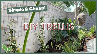 DIY Garden Trellis | Inexpensive & Easy Privacy Trellis