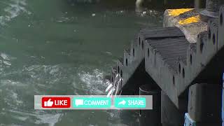 Tropical cyclone and monsoon bring wet and windy week to HK | TVB News | 2025\/10\/20