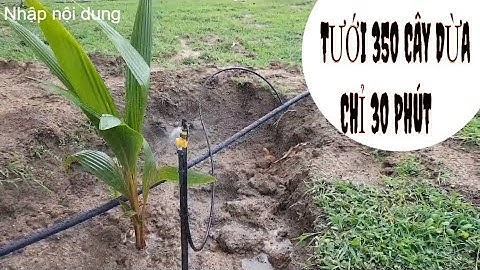 Béc Tưới Cây Bs7000 Plus- Hệ thống tưới phun mưa cho cây dừa