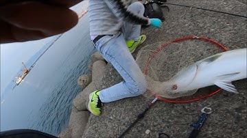 Ngày đầu tiên đi câu lure cá cam, chưa kịp lắp cần người ta đã lên cá cả chục kí | Gia Đình Cá Tráp