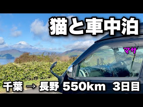 【猫と車中泊】千葉から長野へ3泊4日の車中泊旅（三日目）｜アニメMFゴーストの聖地を疾走｜小田原市から山梨県南部町｜キャンピングカーのようにDIYしたハイエースで車中泊