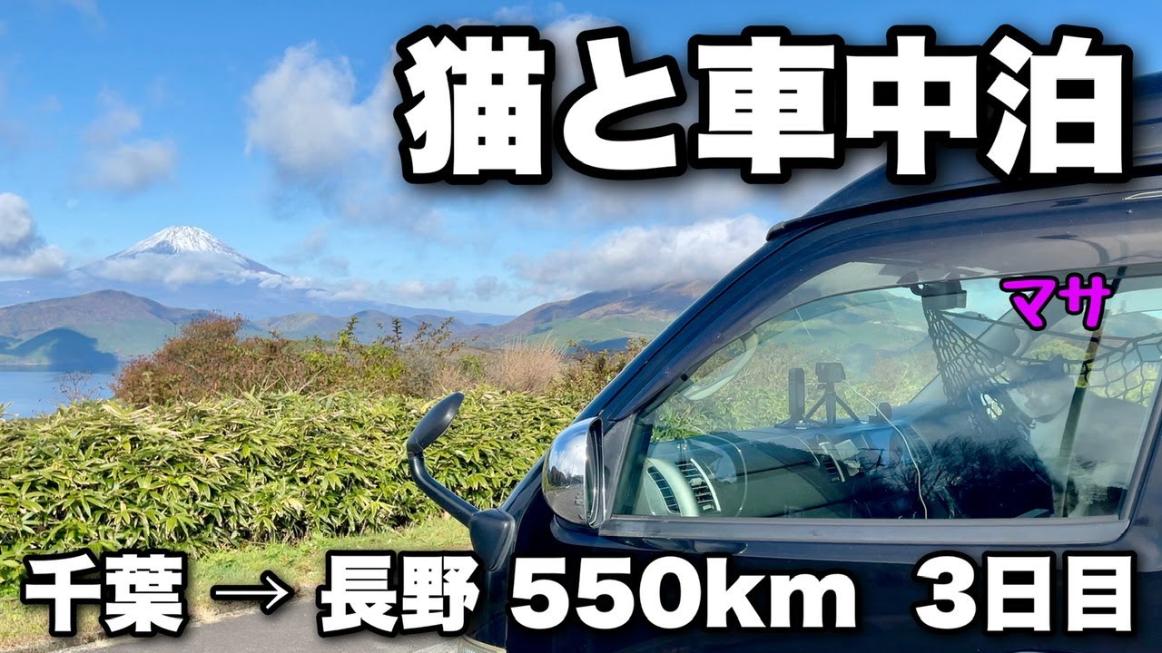 Поход на автомобиле с моей кошкой | День 3 из 4 дней и 3 ночей