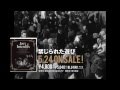 Blu-ray『禁じられた遊び』30秒CM