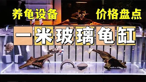 一米超白玻璃龟缸所有物品价格盘点，养龟真是个无底洞 - 天天要闻