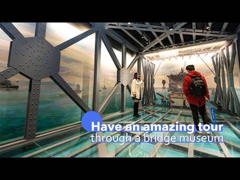 Video: Museum-bridge
