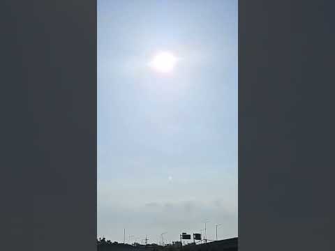 남자 미륵불 상징 <strong>백룡</strong> (21. 9. 4)