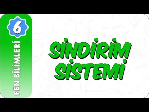 6. Sınıf Fen Bilimleri | Sindirim Sistemi