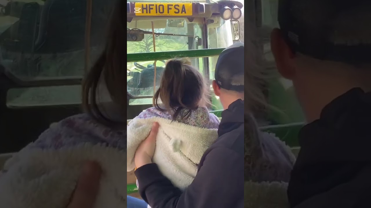 Deer’s safari park