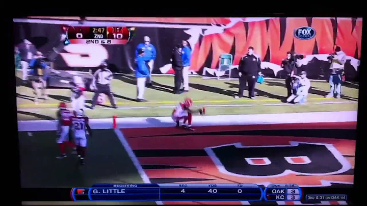 Jerome Simpson front flips for a Touchdown! HD