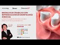 Modelos de trabajo con reproducción de morofología gingival