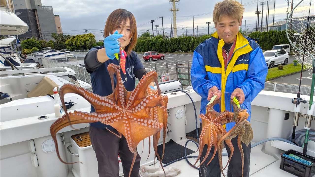 Full of Big Octopus, Successive Catches on the Chiba Side. - YouTube