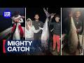 Teens reel in a catch of a lifetime | 9 News Australia