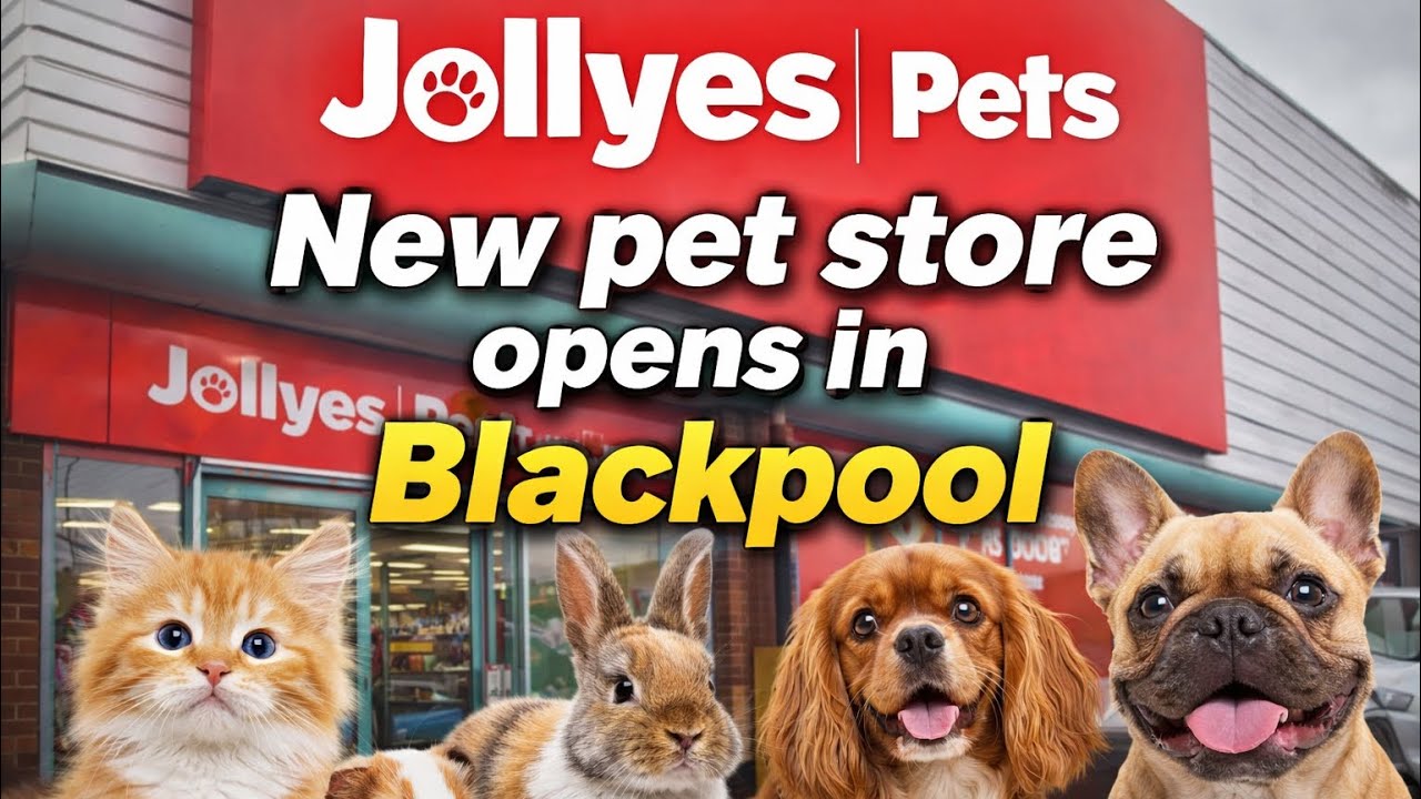 Зоомагазин Jollyes открылся в Блэкпуле 🦮🐩 🐈