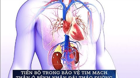 Tiến bộ trong bảo vệ tim mạch- thận ở bệnh nhân đái tháo đường