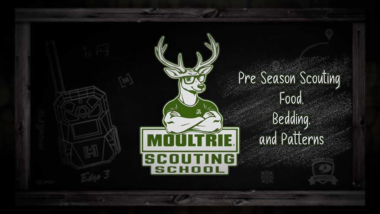 Предсезонная подготовка • Еда, постельные принадлежности и выкройки | Школа скаутов Моултри