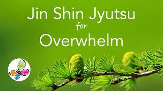 Jin Shin Jyutsu for Overwhelm