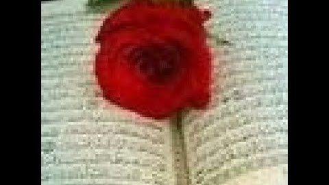 سورة الناس بصوت الشيخ ابوبكر الشاطرى