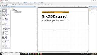 Building An Application Printing Labels - Delphi