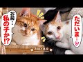 我が子と久しぶりに再開したお母ちゃんの反応が…。