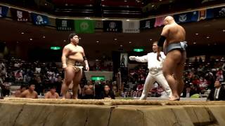 20161106全国学生相撲選手権大会団体Aクラス予選7